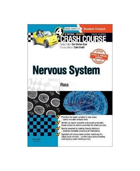 Image result for Crash Course Nervous System