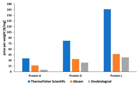 Protein L—More Than Just an Affinity Ligand