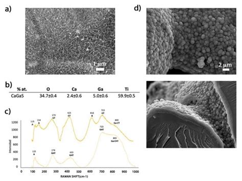 Dual-Action Effect of Gallium and Silver Providing Osseointegration and ...