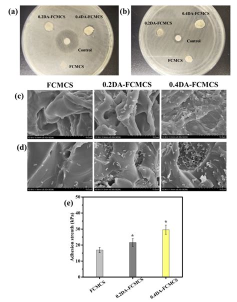 Tissue Adhesive, Self-Healing, Biocompatible, Hemostasis, and ...