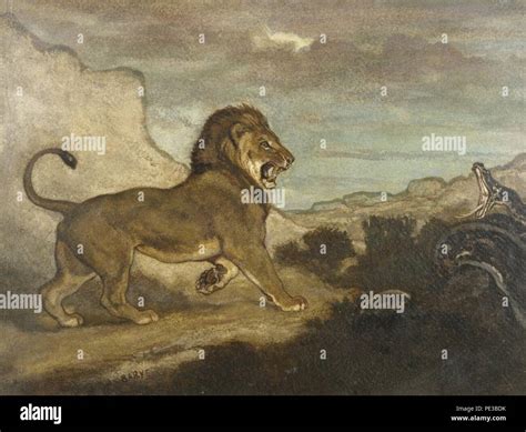 Louis the lion hi-res stock photography and images - Alamy