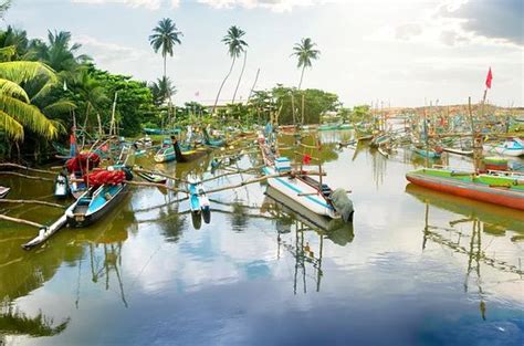 10 BEST Places to Visit in Negombo - 2018 (with Photos) - TripAdvisor