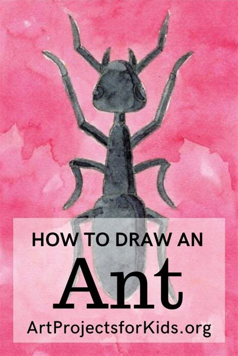Image result for Ant Tutorial Video