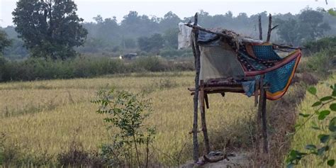 Human-Wildlife Conflicts Could Consume the Forest Department in the ...