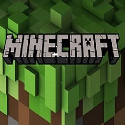 Minecraft Java Error Code 0 的图像结果