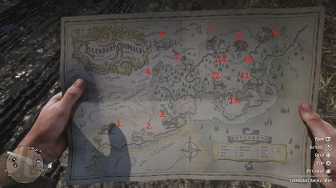 Image result for RDR2 All Animals Map
