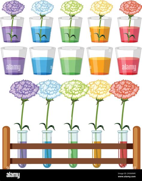 Image result for Science Project Science Project Colour