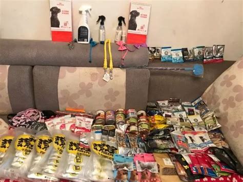 宠博会送什么礼物最新素材