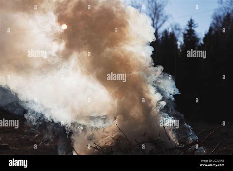 Image result for Spring Smoke