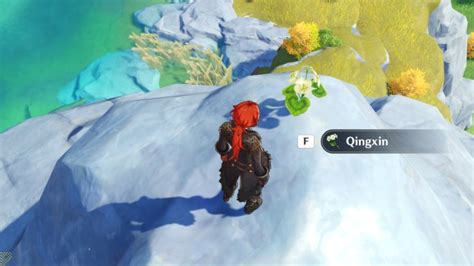 Best Places To Collect Top 10 Rarest Resources In Genshin Impact 2.5