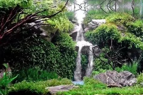 水草缸雨林缸造景：如何做一个水中的瀑布