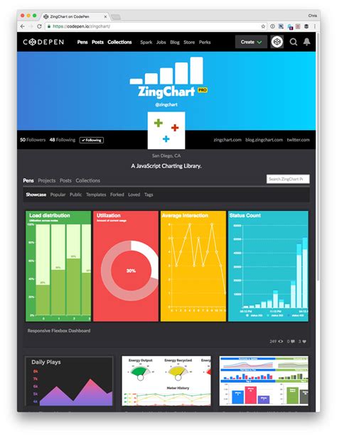 CodePen Examples 的图像结果