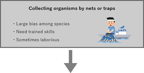 环境dna 的图像结果