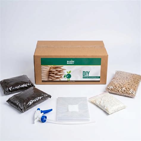 Bloom Buddy Oyster Mushroom Growing Kit DIY | White Oyster Spawn+ Soil ...