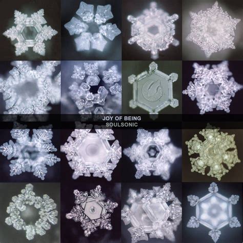 Water has memory dr masaru emoto s water experiment – Artofit