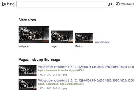 Bing Image Match Search 的图像结果