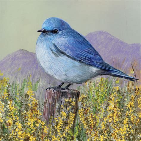 Nevada State Bird Printable