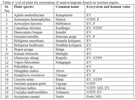 SEMIEVERGREEN/KAN FORESTS