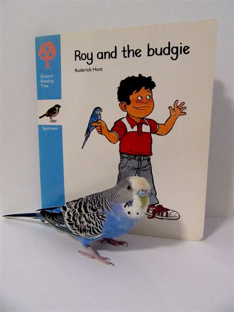 Image result for Roderick Hunt