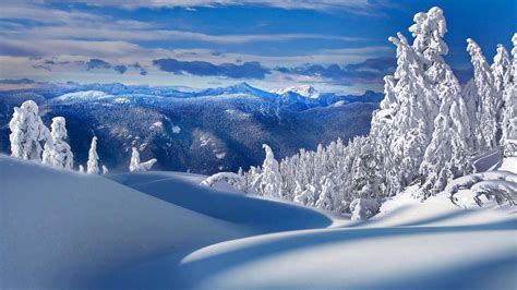 雪景_360百科