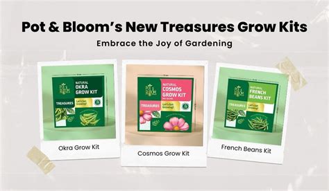 Embrace the Joy of Gardening: Pot & Bloom’s New Treasures Grow Kits ...