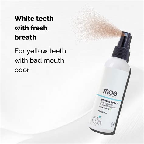 Moepuppy | Online Pet Care Products Store India | Shop Now! – Moe Puppy