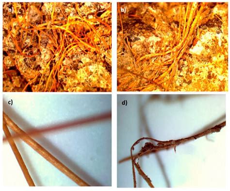 Substitution of Sand in Concrete Blocks with Coconut Fiber and Cattle ...