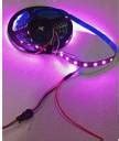 TezTech ws2812b 5v led Strip Individually addressable 60 Pixels/m Non ...