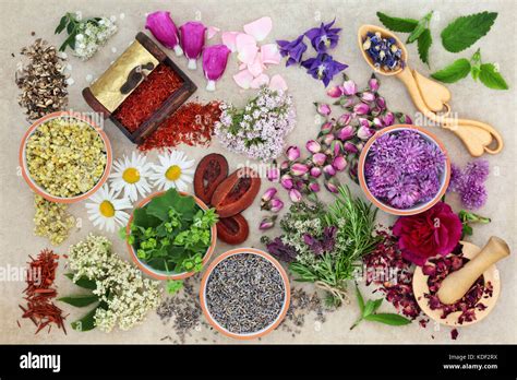 Natural Herbal Medicine 的图像结果