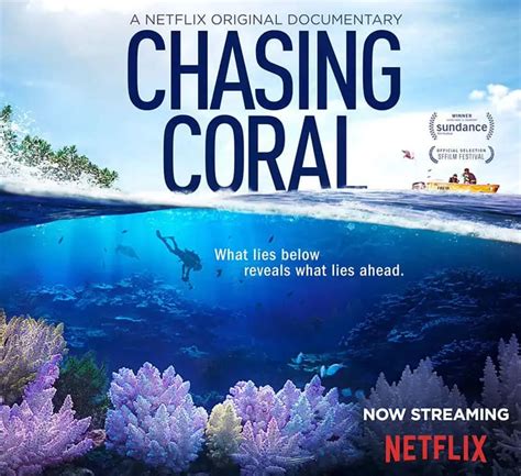 Climate Science Documentary 的图像结果