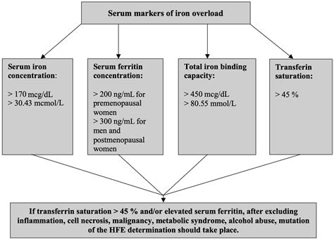 Chronic Fatigue Syndrome in Patients with Deteriorated Iron Metabolism