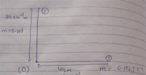 Two mutually perpendicular lines are drawn on atable. Two small magnets ...