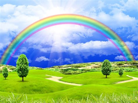 Image result for Rainbow Design CSS CodePen