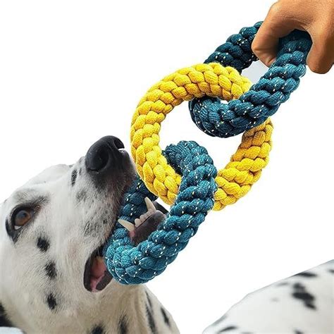 Buy PETSWARE Attractive Dog Toys for Large Dogs & Accessories Toy for ...