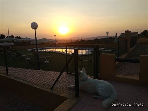 COMPLEJO RURAL LAS LOMAS DE BIAR - Guesthouse Reviews, Photos, Rate ...