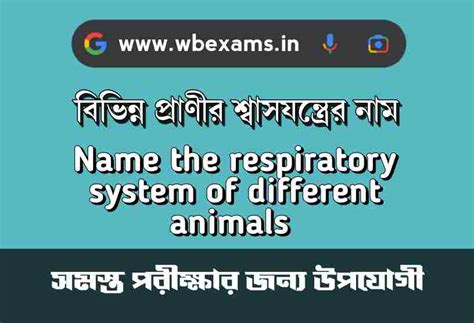 বিভিন্ন প্রাণীর শ্বাসযন্ত্রের নাম | Name the respiratory system of ...