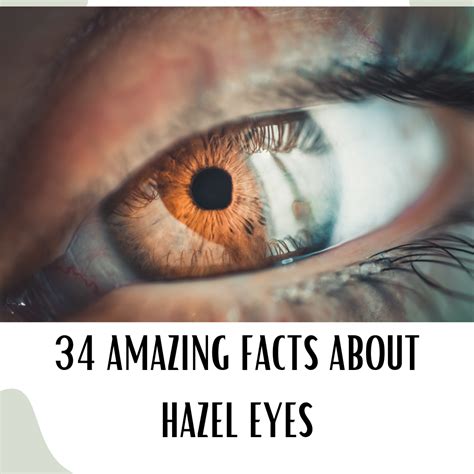 How Rare Are Hazel Eyes? 34 Facts and Superstitions about the Hazel Eye ...
