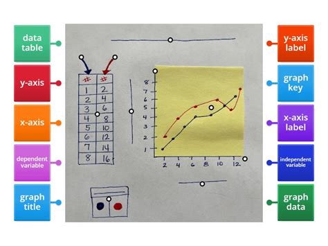 Components of a Graph 的图像结果