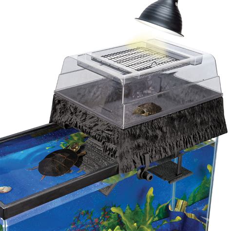 55 Gallon Turtles Tanks Idea Reptile Tank Stand 55 Gallon Double Layer