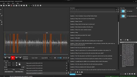 Image result for Audio Redaction API