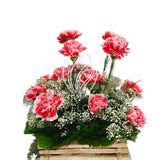 Fresh Carnations Bouquet – May Flower