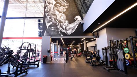 World Gym, Moore Park - Life Fitness