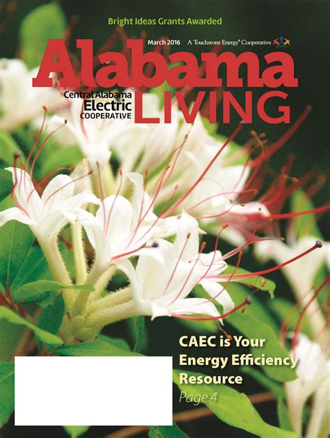 2015 Archives - Central Alabama Electric Cooperative