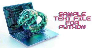 Image result for Text Form Python