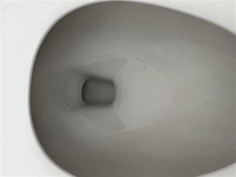 Image result for SpringTails On Humans