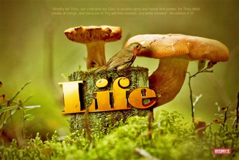 Image result for Tutorial Text