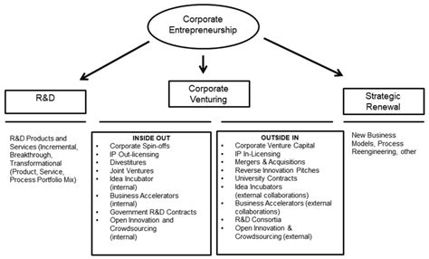 Corporate Entrepreneurship 的图像结果