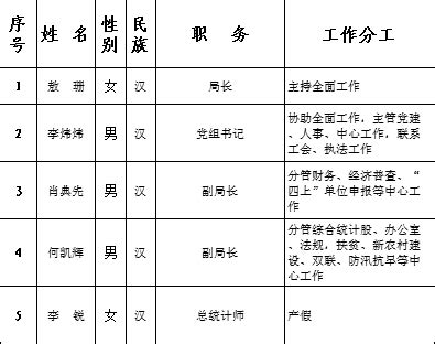 2020年岳阳县统计局班子分工一览表