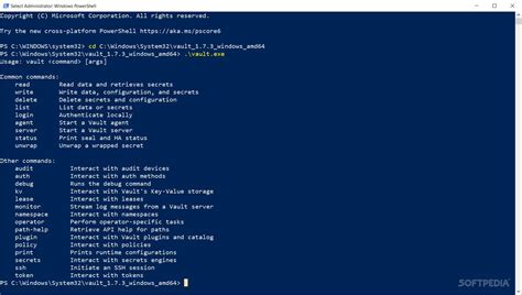 Image result for Install Vault Linux