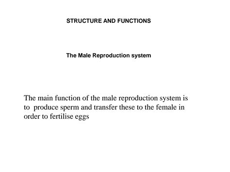 Image result for Insect reproductive system Insect Fertilization
